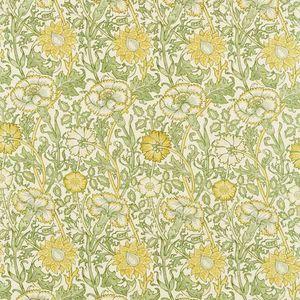 Aller au coloris Cowslip/Fennel