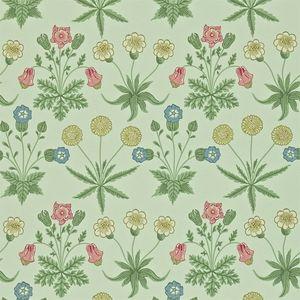 Aller au coloris Pale Green/Rose