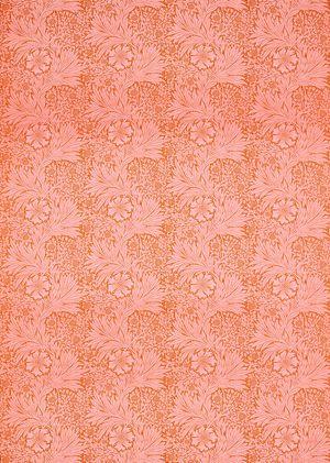 Aller au coloris Orange/Pink