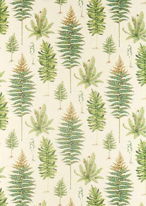 Aller au coloris Olive