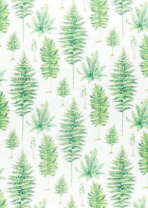 Aller au coloris Botanical Green