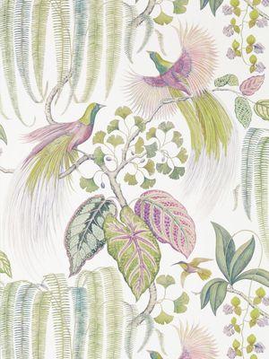 Aller au coloris Orchid