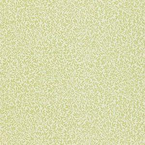Aller au coloris Fennel