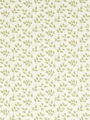 Aller au coloris Leaf Green