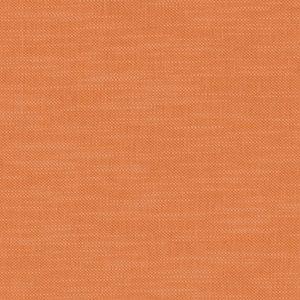 Aller au coloris Pumpkin