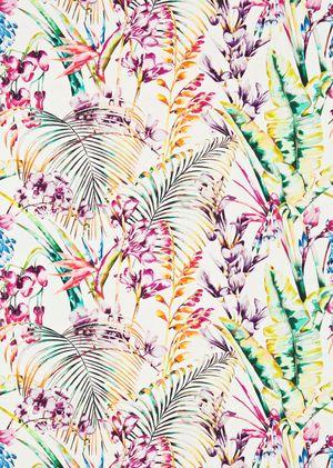 Aller au coloris Papaya / Flamingo / Apple