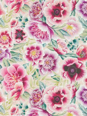 Aller au coloris Powder/Peony/Magenta