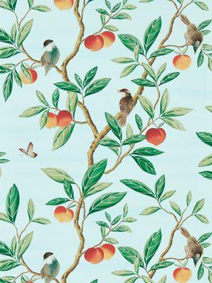 Aller au coloris Sky/Fig Leaf/ Nectarine