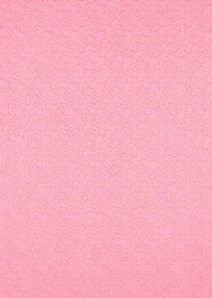 Aller au coloris Rose Quartz/Ruby