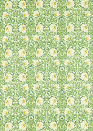 Aller au coloris Weld/ Leaf Green