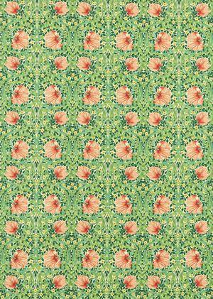 Aller au coloris Shamrock/Watermelon