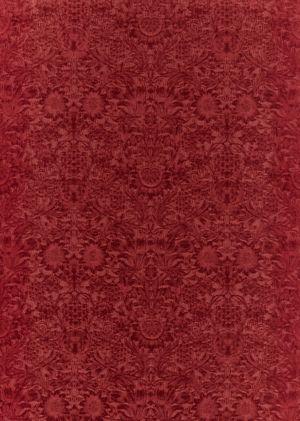 Aller au coloris Barbed Berry