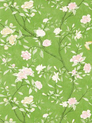 Aller au coloris Evergreen