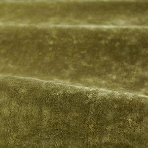 Aller au coloris Spanish Olive