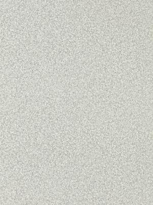 Aller au coloris Taylors Grey